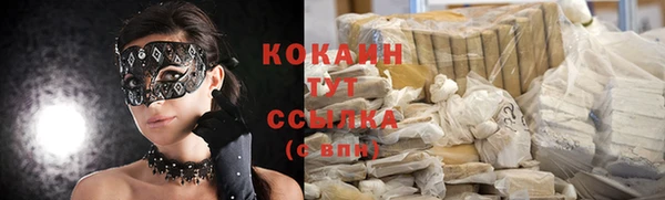крисы Зеленодольск