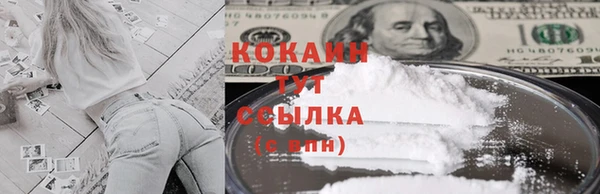 крисы Зеленодольск