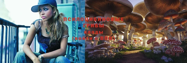 таблы Зерноград