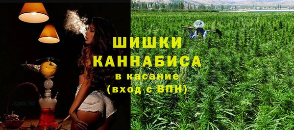 крисы Зеленодольск