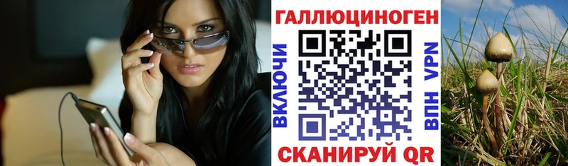 Псилоцибиновые грибы GOLDEN TEACHER  Карачев 